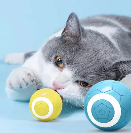 Smart Play Ball