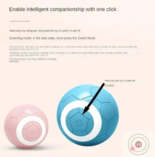 Smart Play Ball